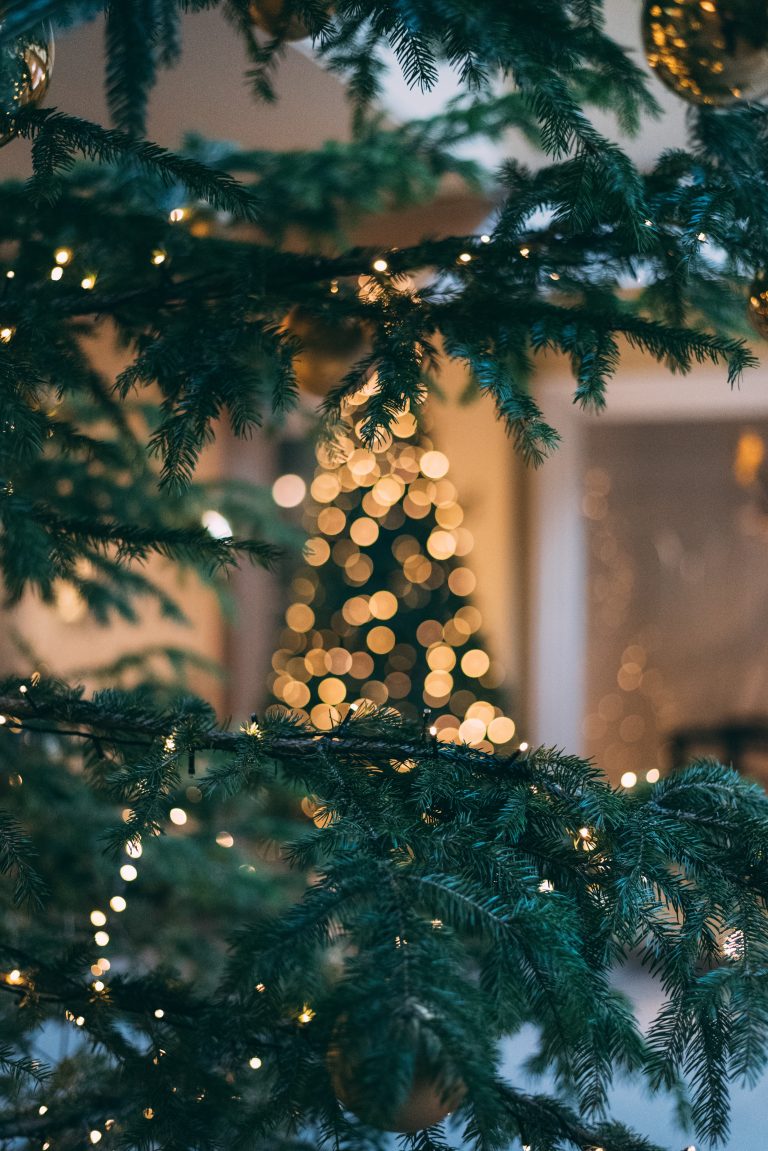 Photo by Mourad Saadi on Unsplash