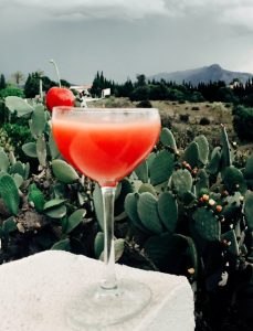 Bubblypoptail Melony