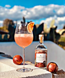 Bloody Bax - The Alcohol-free Spritz