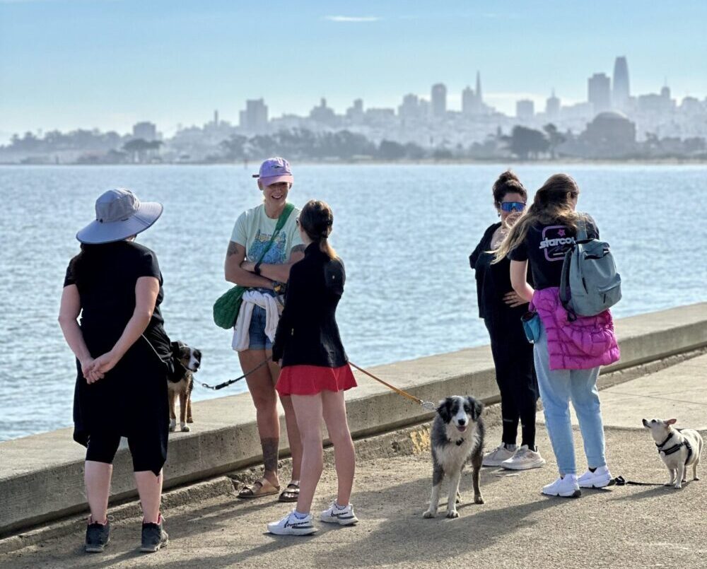 Sobertopia Walks in San Francisco