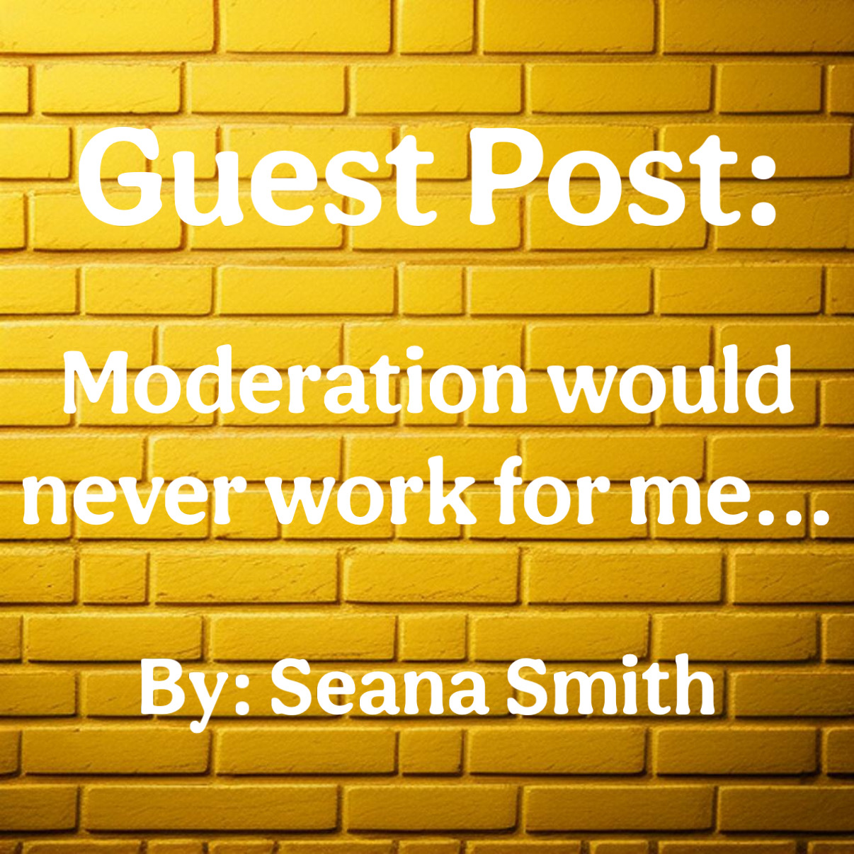 Guest Blog by Seana